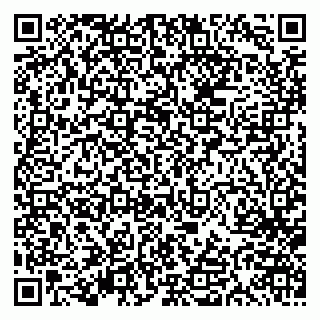 vCard 79613387806