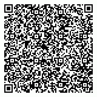 vCard 79613387809