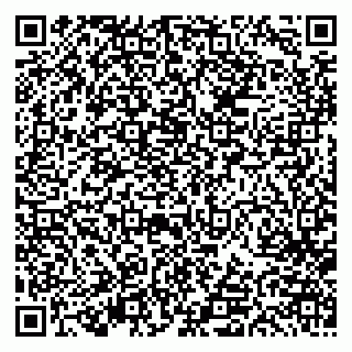 vCard 79613387810