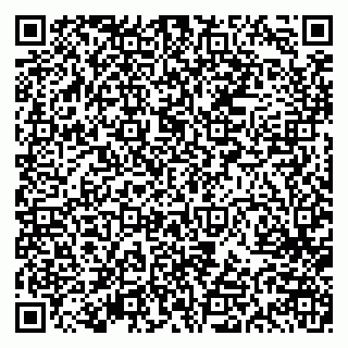 vCard 79613387813