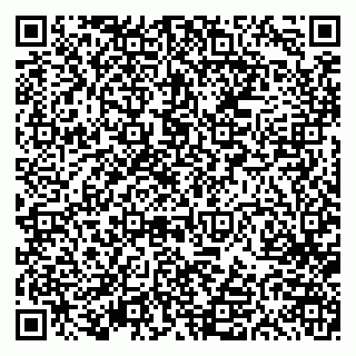 vCard 79613387814