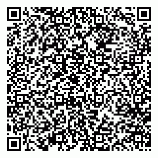 vCard 79613387817