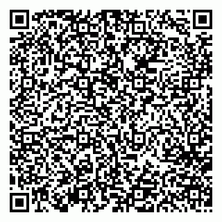 vCard 79613387819