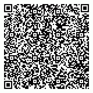 vCard 79613387820