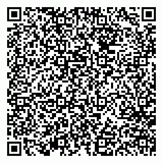 vCard 79613387821
