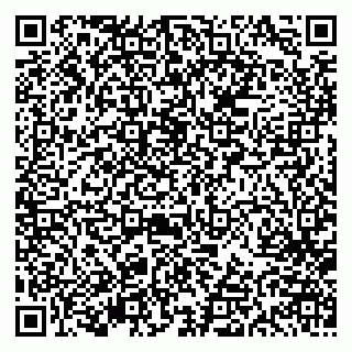 vCard 79613387823