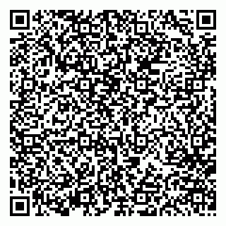 vCard 79613387825