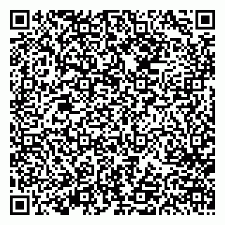 vCard 79613387829