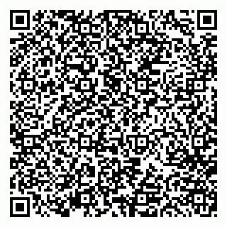 vCard 79613387830