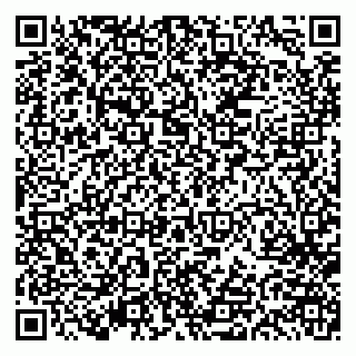 vCard 79613387831
