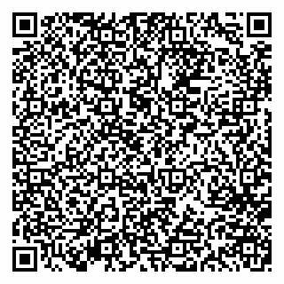 vCard 79613387833