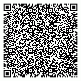 vCard 79613387838