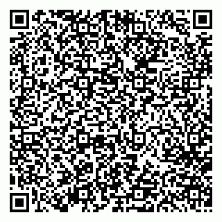 vCard 79613387849