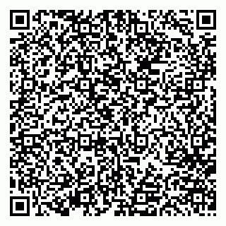 vCard 79613387850