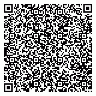vCard 79613387851