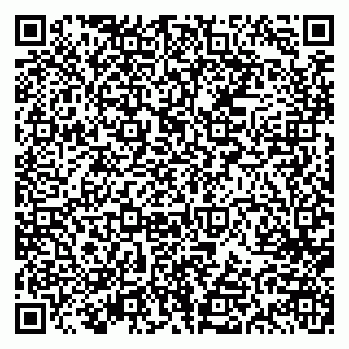 vCard 79613387853