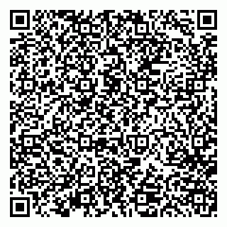 vCard 79613387858
