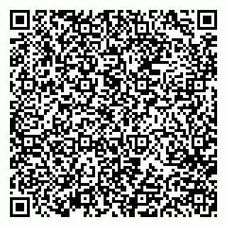 vCard 79613387861