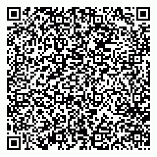 vCard 79613387863