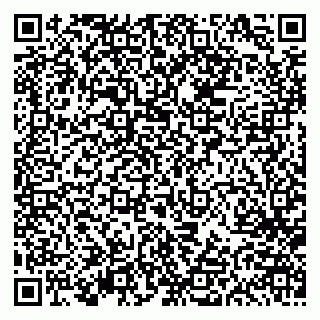 vCard 79613387865