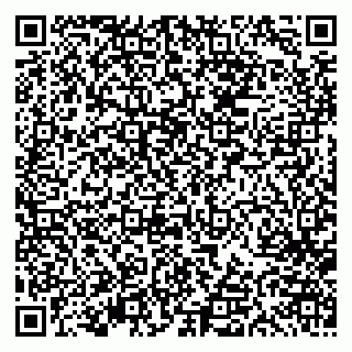 vCard 79613387872