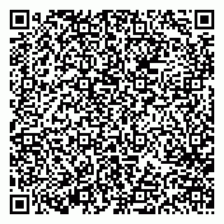 vCard 79613387873
