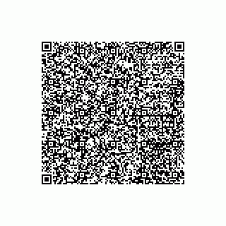 vCard 79613387874