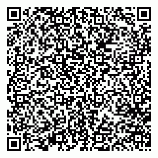 vCard 79613387875