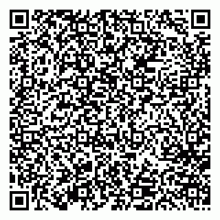 vCard 79613387878