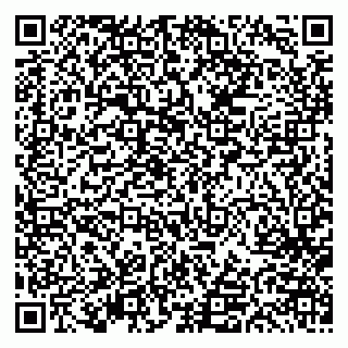 vCard 79613387880