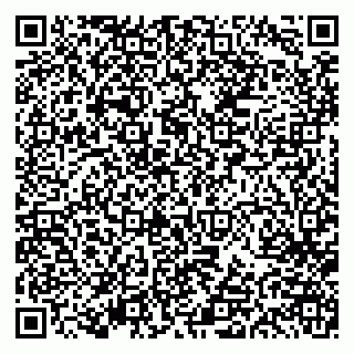 vCard 79613387881