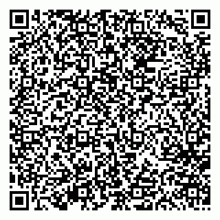 vCard 79613387884