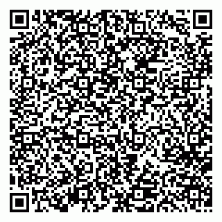vCard 79613387888