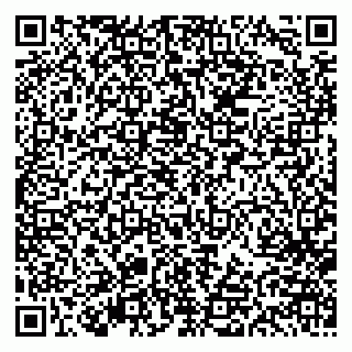 vCard 79613387891