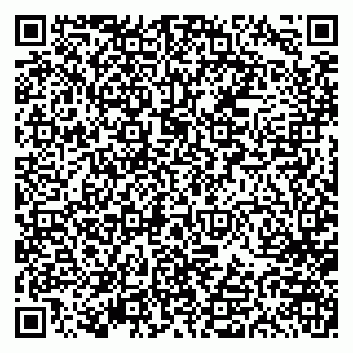 vCard 79613387894