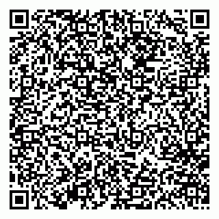 vCard 79613387895