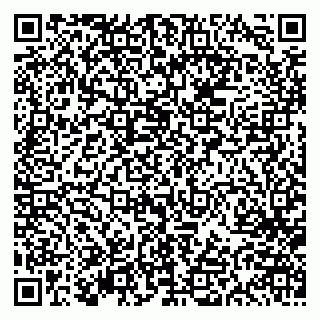 vCard 79613387897