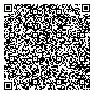 vCard 79613387898