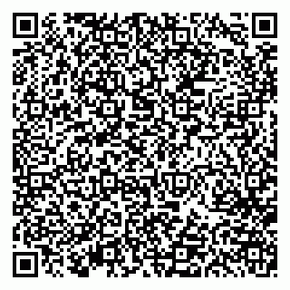 vCard 79613387899