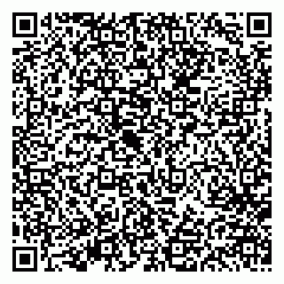 vCard 79613387901