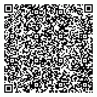 vCard 79613387903