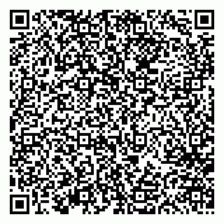 vCard 79613387904
