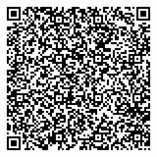 vCard 79613387907