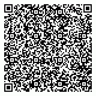 vCard 79613387908