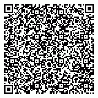 vCard 79613387910