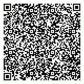vCard 79613387911