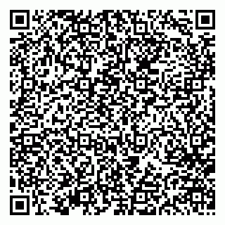 vCard 79613387913