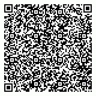 vCard 79613387914