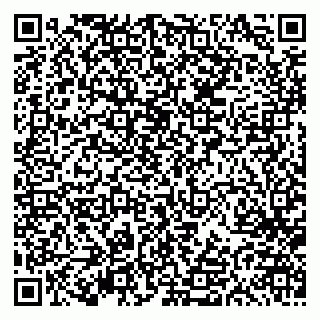 vCard 79613387924