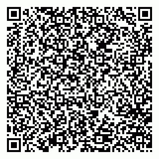 vCard 79613387928